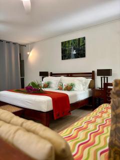 Serenity - Evasion exotique avec Jardin et Piscine - 7