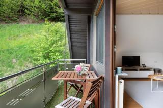 Ferienwohnung Glashütte - 9