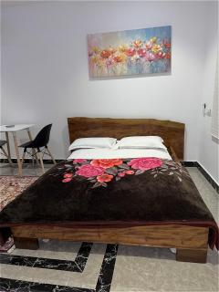 The Serene Studio 10km from Airport - Madina - 9