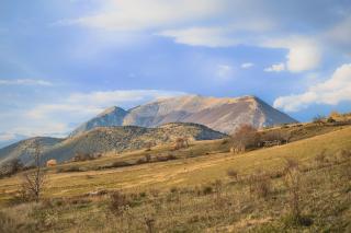 Orso Bruno - Campo di Giove - 1
