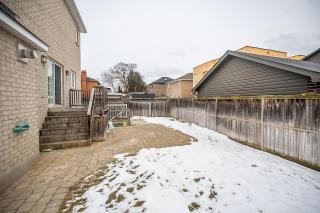 Tranquil 2bedroom basement in charming Mississauga - 1