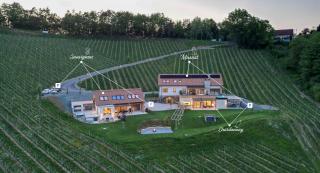 steiRerBLiCke - Domaine Sernau Sauvignon - Gamlitz - 6