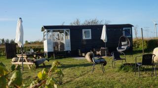 Bed and Breakfast Het schapenlandje - Waarland - 9