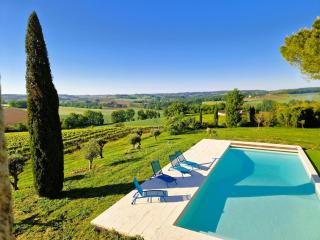 Maison Gasconne, 6 chambres, piscine 14x5, vue sur les vignobles - 8