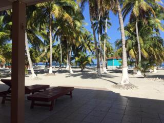 Blue Marlin Beach Resort - Dangriga - 3