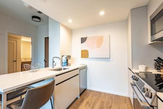 High End Apt Seaport - Boston - 3