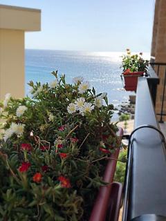 Alegria Alghero - Alghero - 2