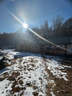 Cabana de vis și pescuit - - 2