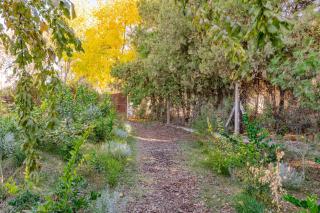 Las Nandinas - Olivo - 3