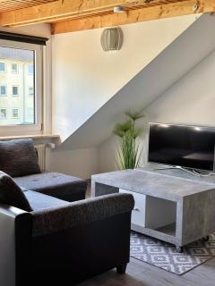 Stadtnah Wolfsburg mit Ausblick - Wolfsburg - 8