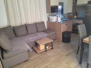 MOBIL HOME l'ALOUETTE - Sérignan - 6