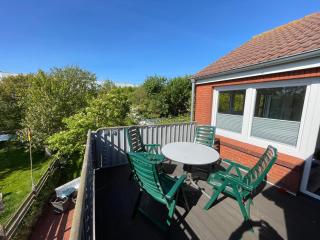 alter Seehase - Norderney - 9