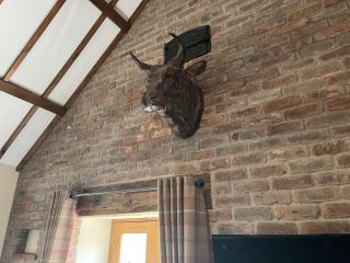 Cosy Barn - Sleeps 8 Hot Tub & Countryside Views - Corwen - 4