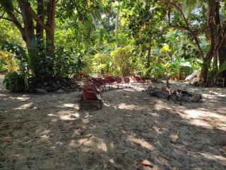 Donde Orlando - Guatiguara - 4