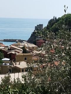 Lemon Apartment Monterosso - 5 Terre - Monterosso al Mare - 2