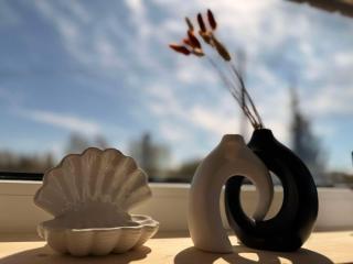 Sadama Willa Petite with private mini SPA - Heltermaa - 1