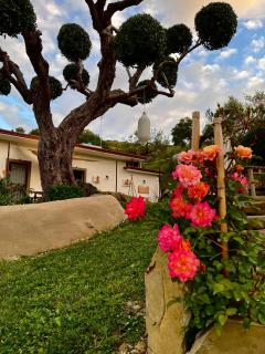 Alba in vigna Bed and Breakfast - Laureana Cilento - 5