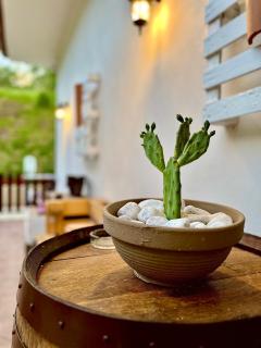 Alba in vigna Bed and Breakfast - Laureana Cilento - 6