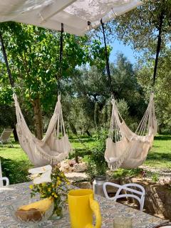 UnPazzoIndietro - Monopoli - 8