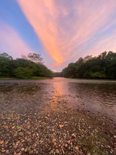 Amazing Cabin RIO LA MIEL - - 3