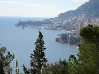 Deux pièces rare avec vue - Roquebrune-Cap-Martin - 1