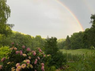 Waldbaden am Blauen - 2