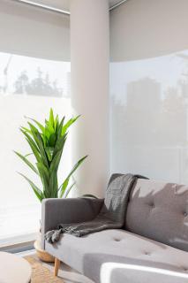 Charming Retreat 2D2B Apartment - Santiago - 4