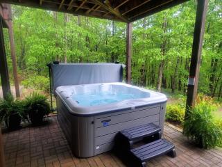 Secluded Mountain Lodge w King Beds Game Room Hot Tub Firepit 2 miles to Helen,GA - Sautee Nacoochee - 7