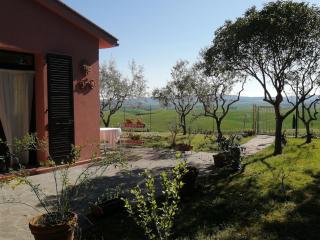 Podere Quercia al Santo - Lajatico - 7