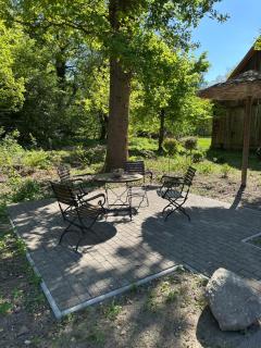 Kiefer -Ferienwohnung in Dötlingen mit Waldblick - Dötlingen - 9