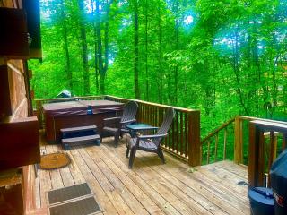 Hidden Treasure - Sevierville - 3