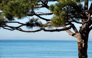 Reina Apartment 150m to Beach with Pool and Balcony near to PortAventura - Salou - 4