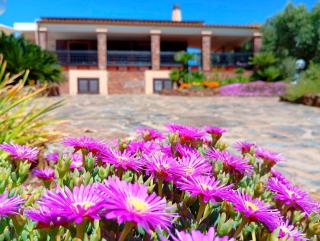 Alghero Villa Barranch with sea view swimming pool for 6 people - Alghero - 3