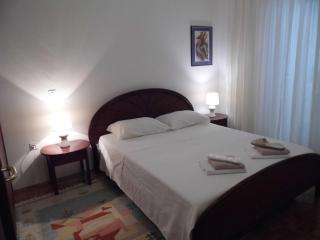 Apartman Knežina - 5