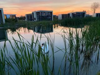 Marina Strandbad Chalet Wasserwelt Haus Nr 32 - Olburgen - 3