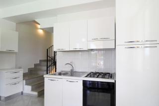 Villa Agata - Sea Life - 2