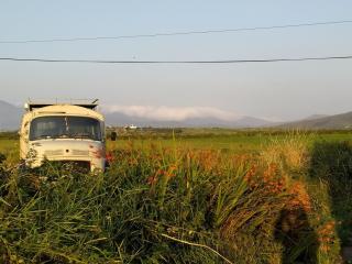 Ballincolla Base Camp - Ballinrolla - 0