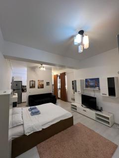 View of Iasi 1 Room Flat - Iaşi - 4