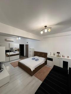 View of Iasi 1 Room Flat - Iaşi - 3