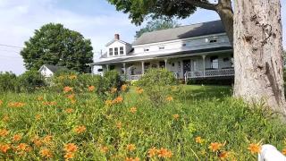 Hoppy Hill Farm House - Dover Plains - 9