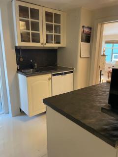 Central apartment at Bakklandet - 2