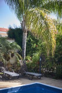 Three bedroom villa Safia - Peyia - 1