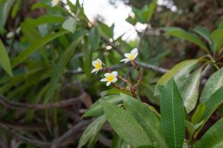 Villa Fantasy - Luxury 4BR Seaview Retreat with Private Pool - 3