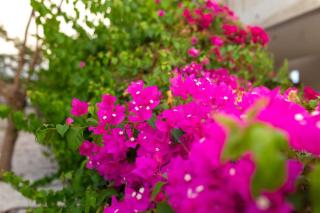 Villa Fantasy - Luxury 4BR Seaview Retreat with Private Pool - 4