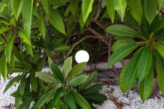 Villa Fantasy - Luxury 4BR Seaview Retreat with Private Pool - 8