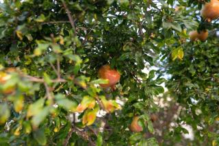 Villa Fantasy - Luxury 4BR Seaview Retreat with Private Pool - 7