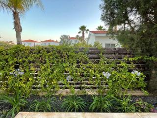 Villa Lovely - Peyia - 7