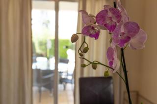 Villa Thalassia - Peyia - 3