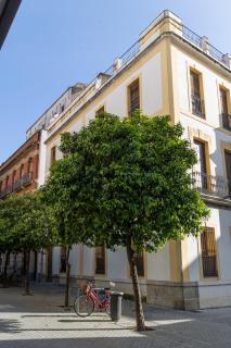 Vivienda Señorial Centro Córdoba - 6
