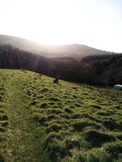 Myrtle the Yurt - - 8